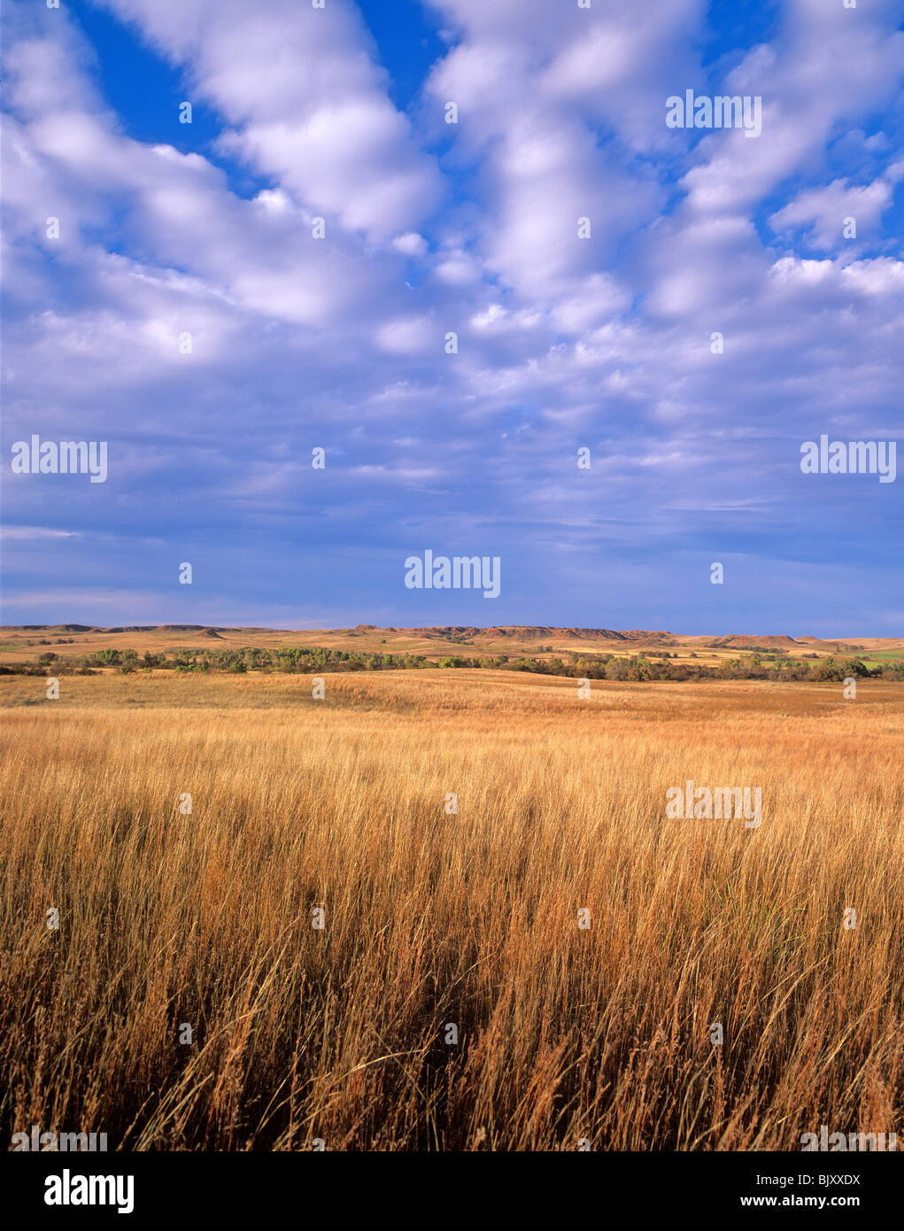 Prairie at Washita Battlefield National Historic Site near Cheyenne, Oklahoma, USA Stock Photo