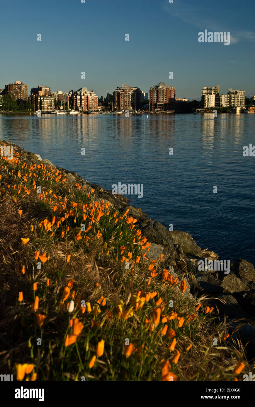 Downtown victoria bc hi-res stock photography and images - Alamy