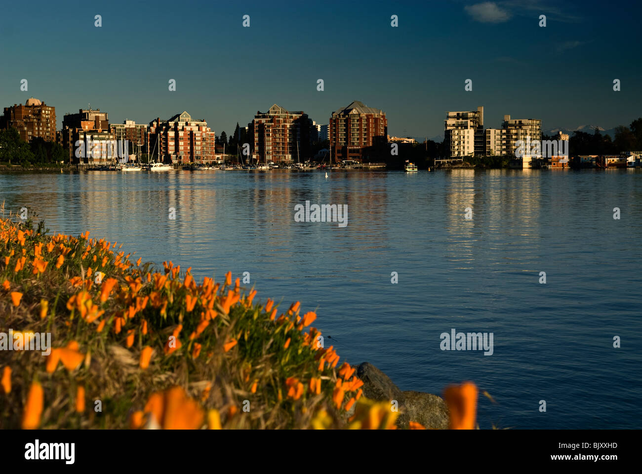 Downtown Victoria British Columbia is visible across the harbor behind ...