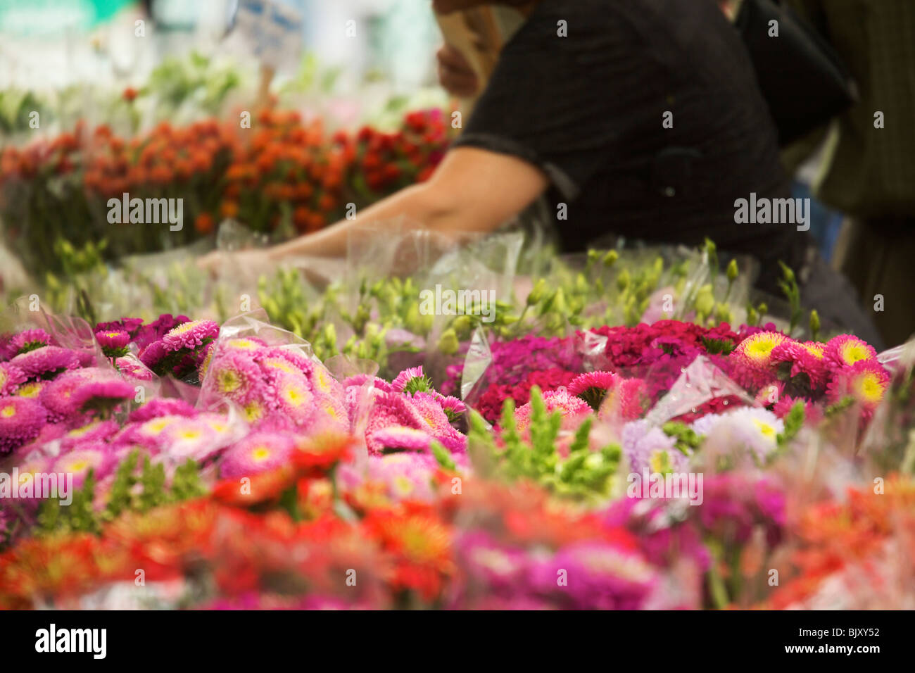Cut flowers for sale. Chicago's Green City Market Stock Photo Alamy