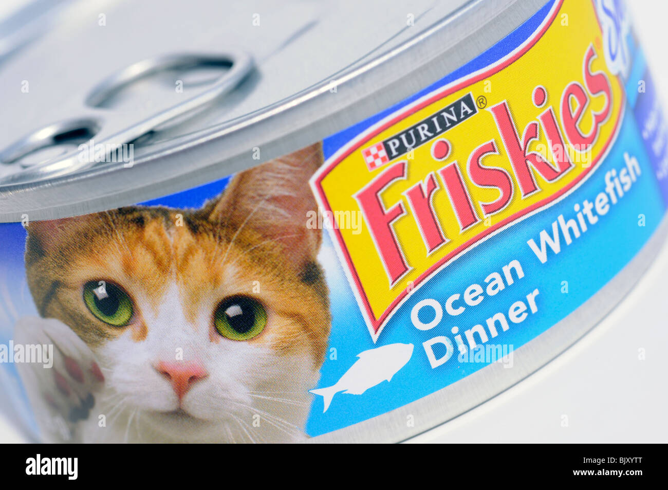 Tin cat food hires stock photography and images Alamy