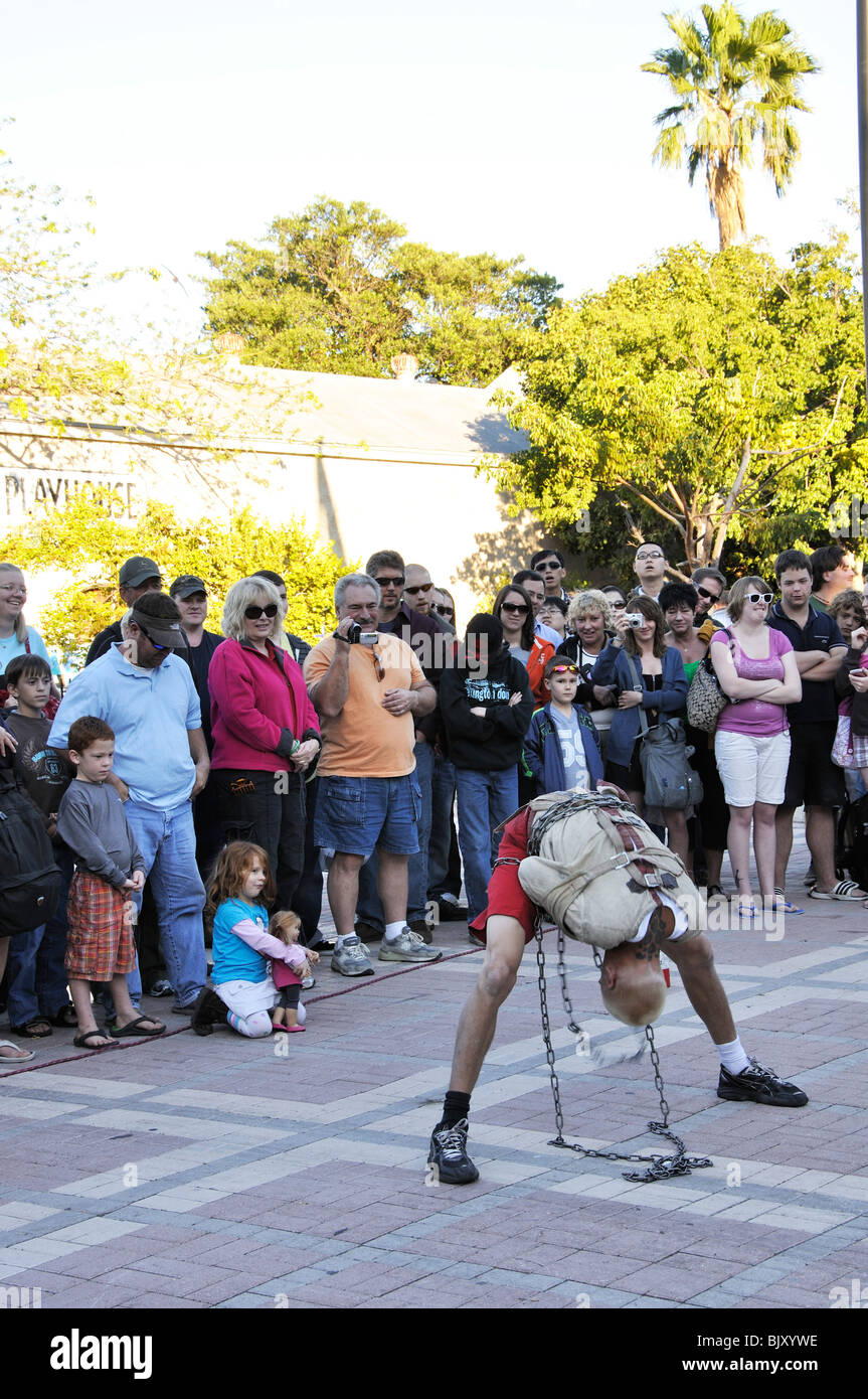 Street performer, Key West, Florida, USA Stock Photo Alamy