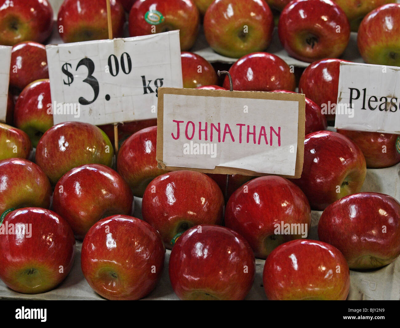 JOHNATHAN APPLES ON DISPLAY AND FOR SALE AT THE QUEEN VICTORIA MARKET