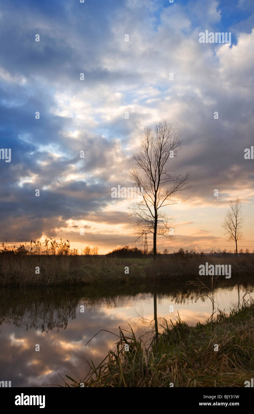 Late evening view of Chelmer & Blackwater canal, Essex Stock Photo