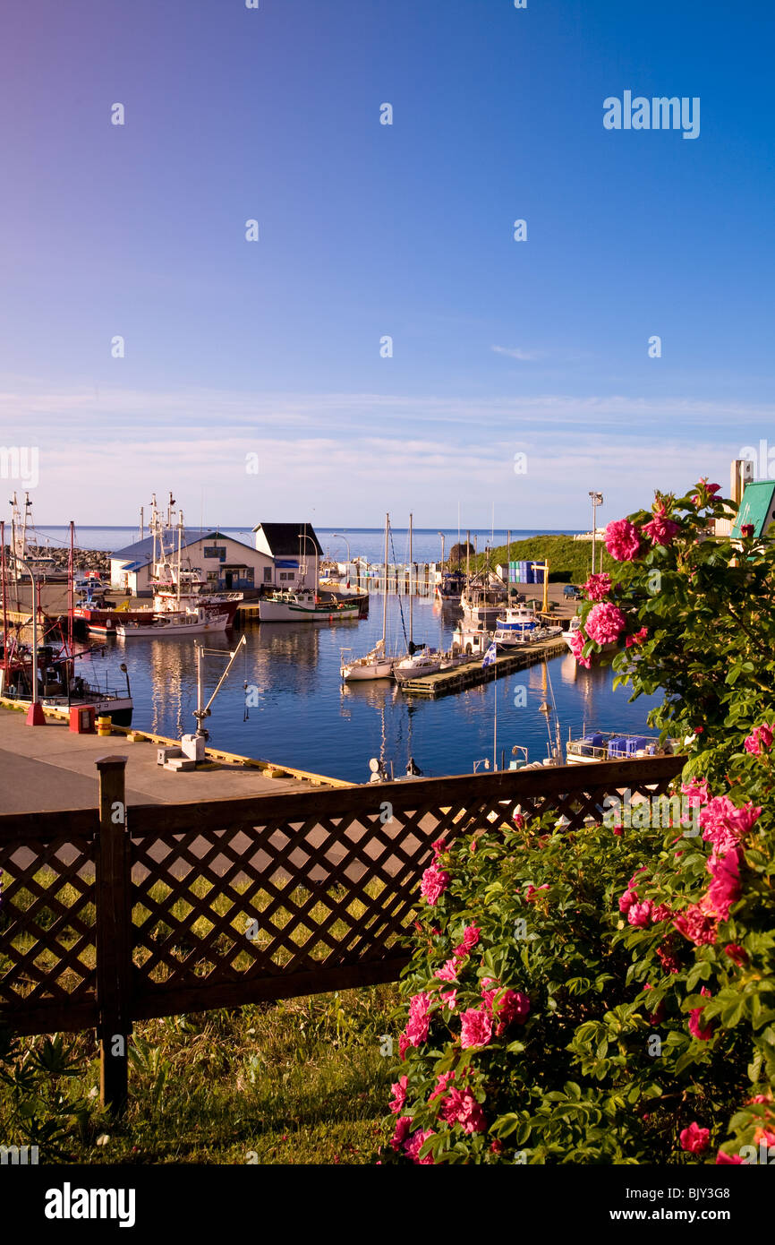 The snug and picturesque fishing harbor at SainteTheresedeGaspe