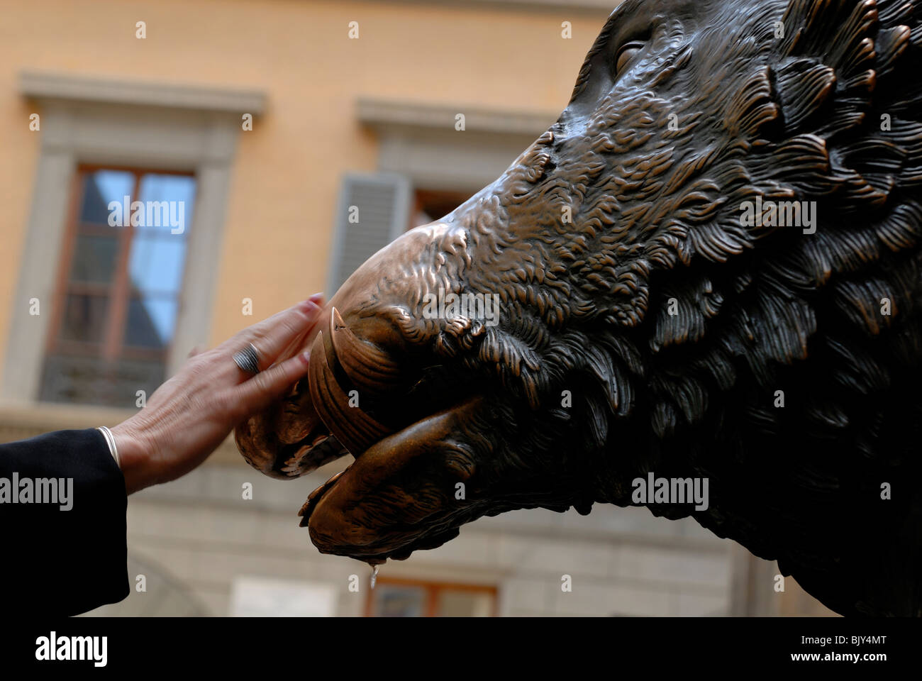 Rubbing the snout of Il Porcellino, the bronze wild boar copied from the Roman marble statue, that can be seen in the Uffizi. .. Stock Photo