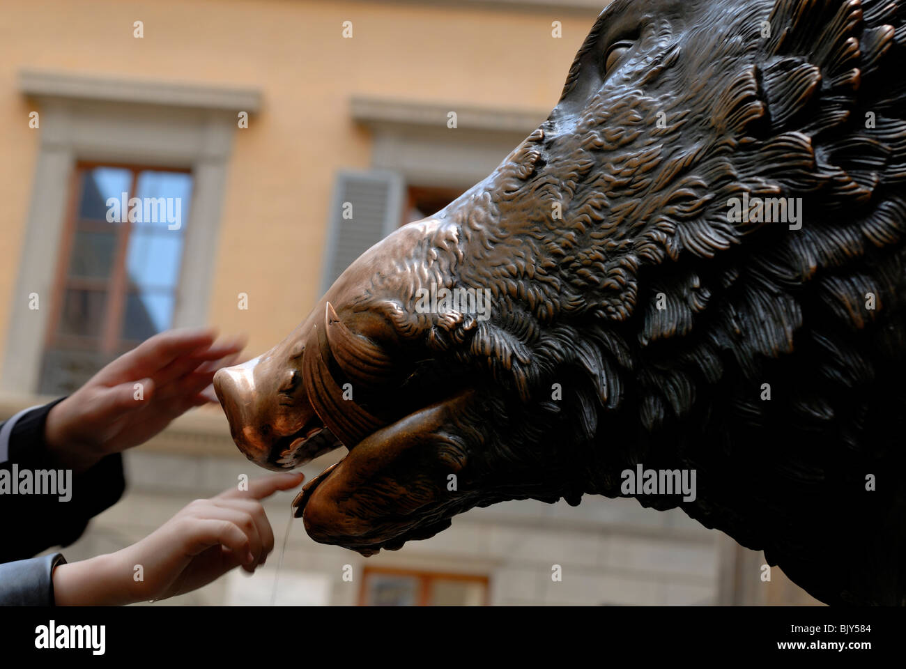 Rubbing the snout of Il Porcellino, the bronze wild boar copied from the Roman marble statue, that can be seen in the Uffizi... Stock Photo