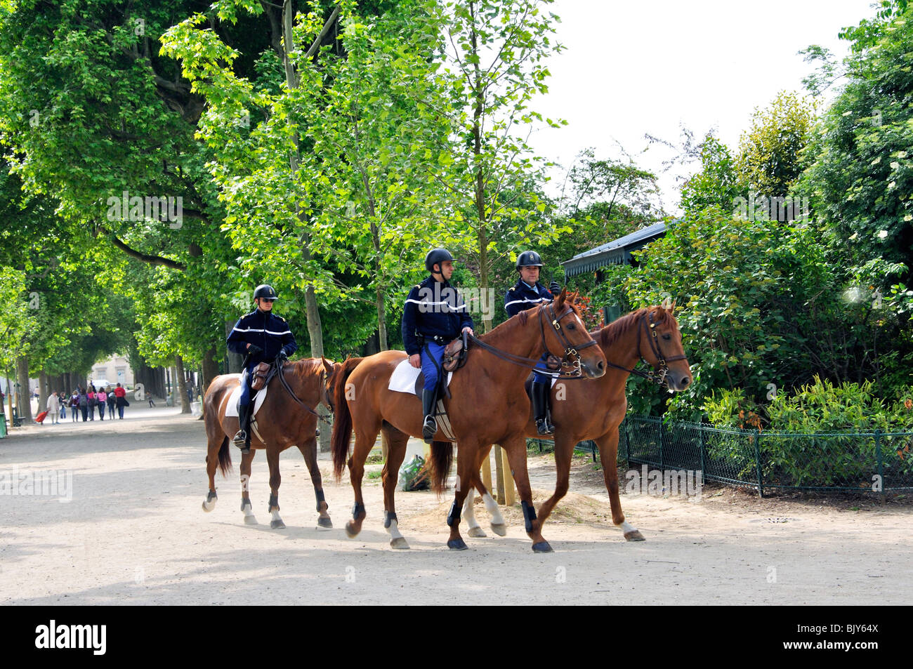 Horse police, Paris, France Stock Photo