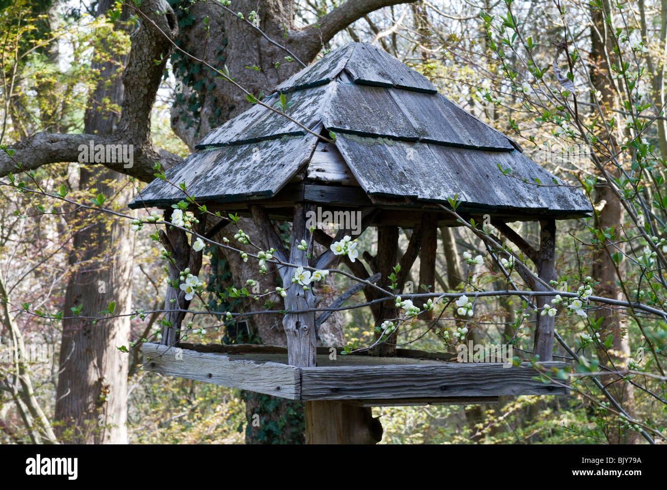 Handmade Bird Feeder Stock Photos Handmade Bird Feeder Stock