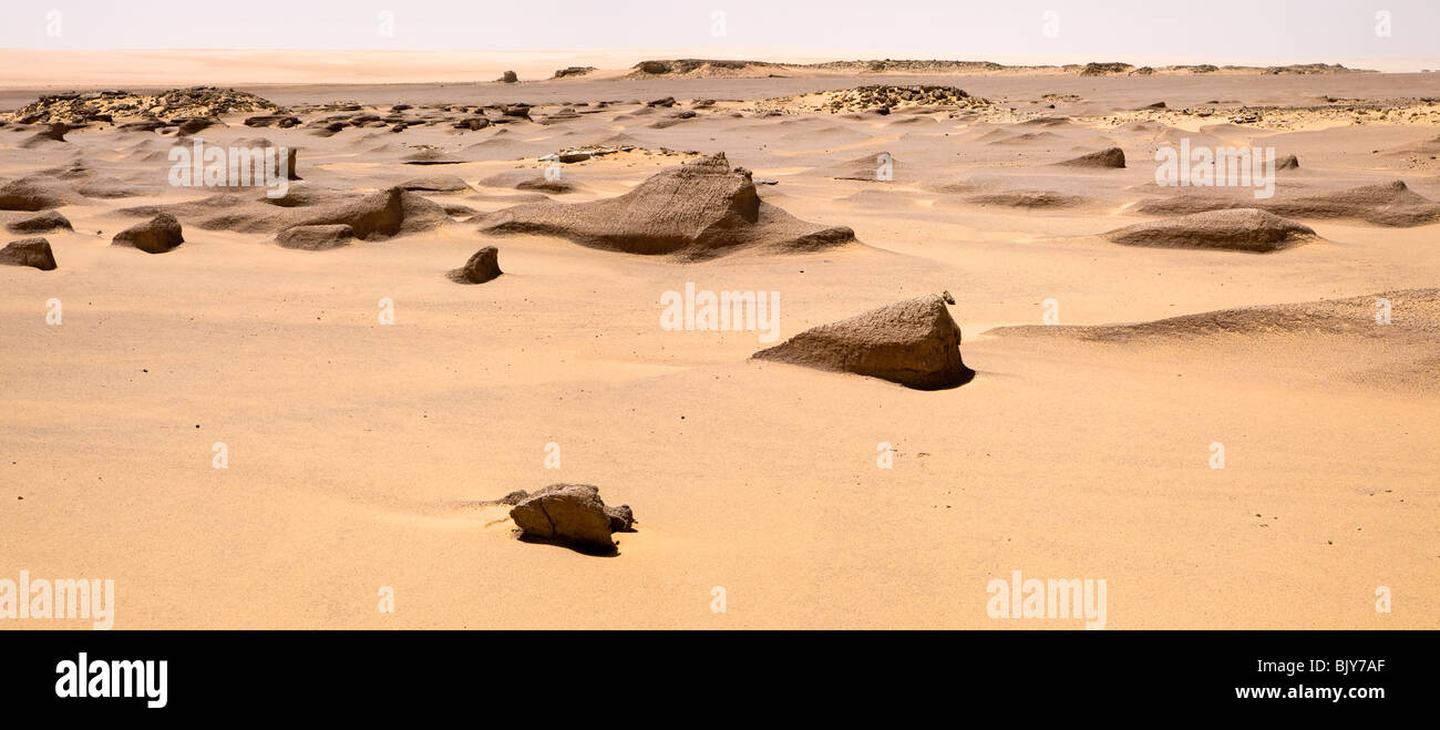 Paorama of  Yardang, or mud lion field in mid day sun in Sahara Desert, en route to the Gilf Kebir, Western Desert of Egypt Stock Photo