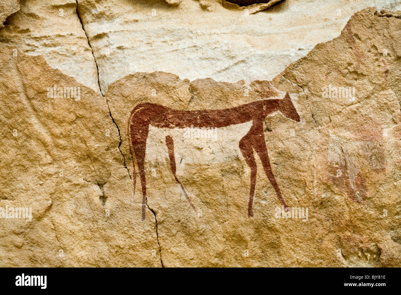 Rock art in the Cave of Swimmers near Cave of the Archers, Wadi Sura ...