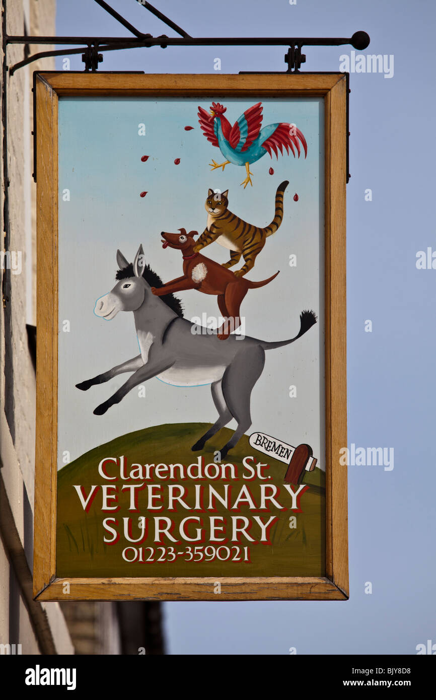 Quirky veterinary surgery sign in Cambridge UK Stock Photo