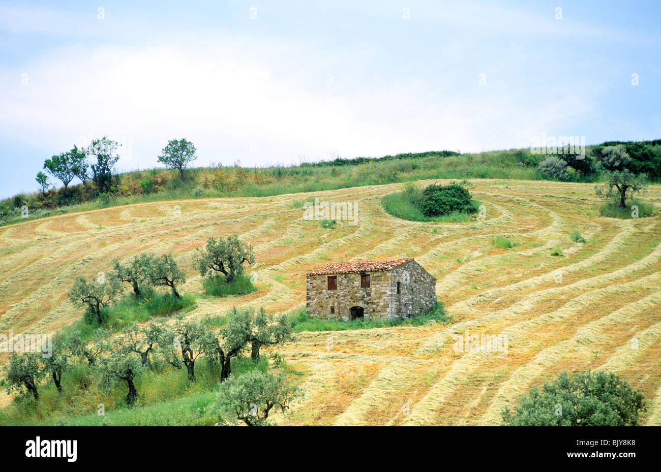 Farm In Sicily 10 BEST Agriturismo Farm Stays In Sicily (2025) Farm