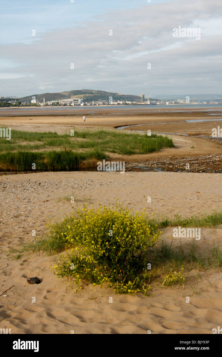 View across Blackpill Beach towards the city centre, Swansea, West Glamorgan, south Wales, U.K. Stock Photo