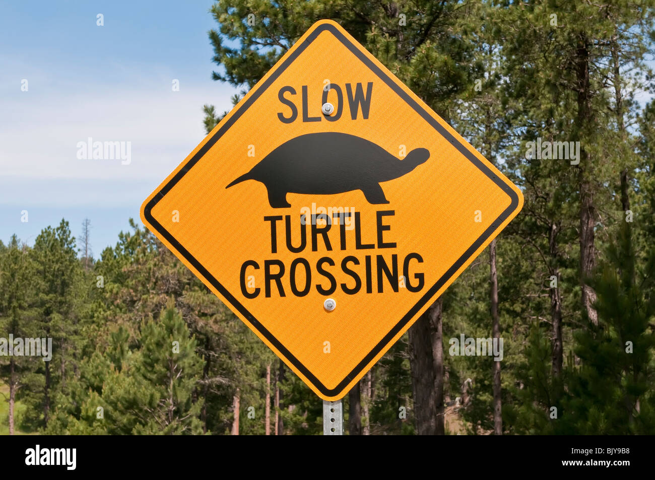 Slow Turtle Crossing >> Turtle Crossing Sign Stock Photos Turtle Crossing Sign Stock Slow Turtle Crossing >> Turtle Crossing Sign Stock Photos Turtle Crossing Sign Stock
