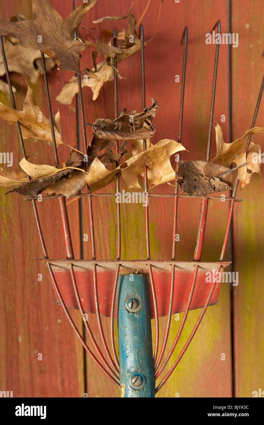 Old yard rake hi-res stock photography and images - Alamy