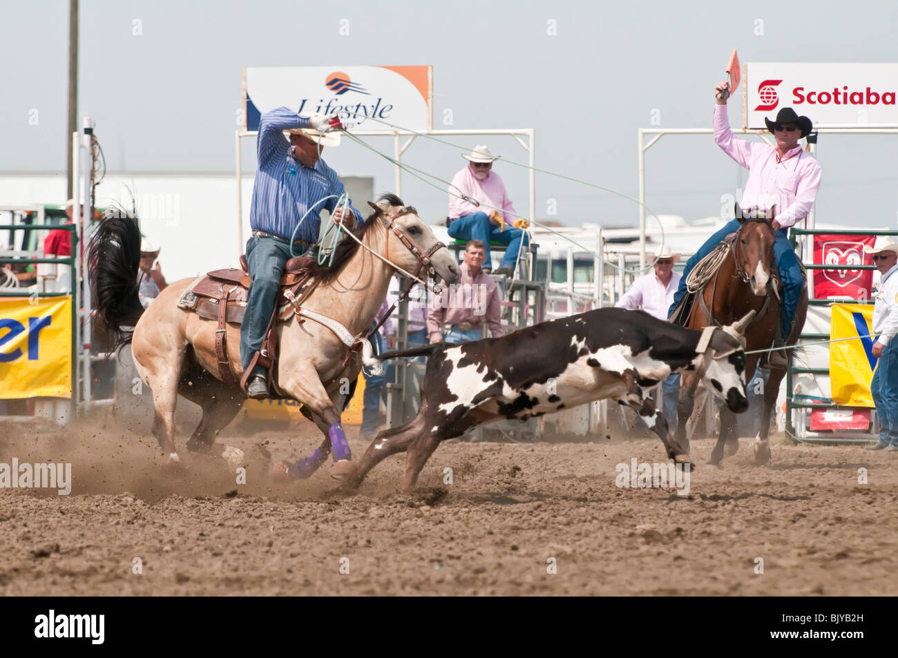 Cowboys race during the team roping event, Strathmore Heritage Days
