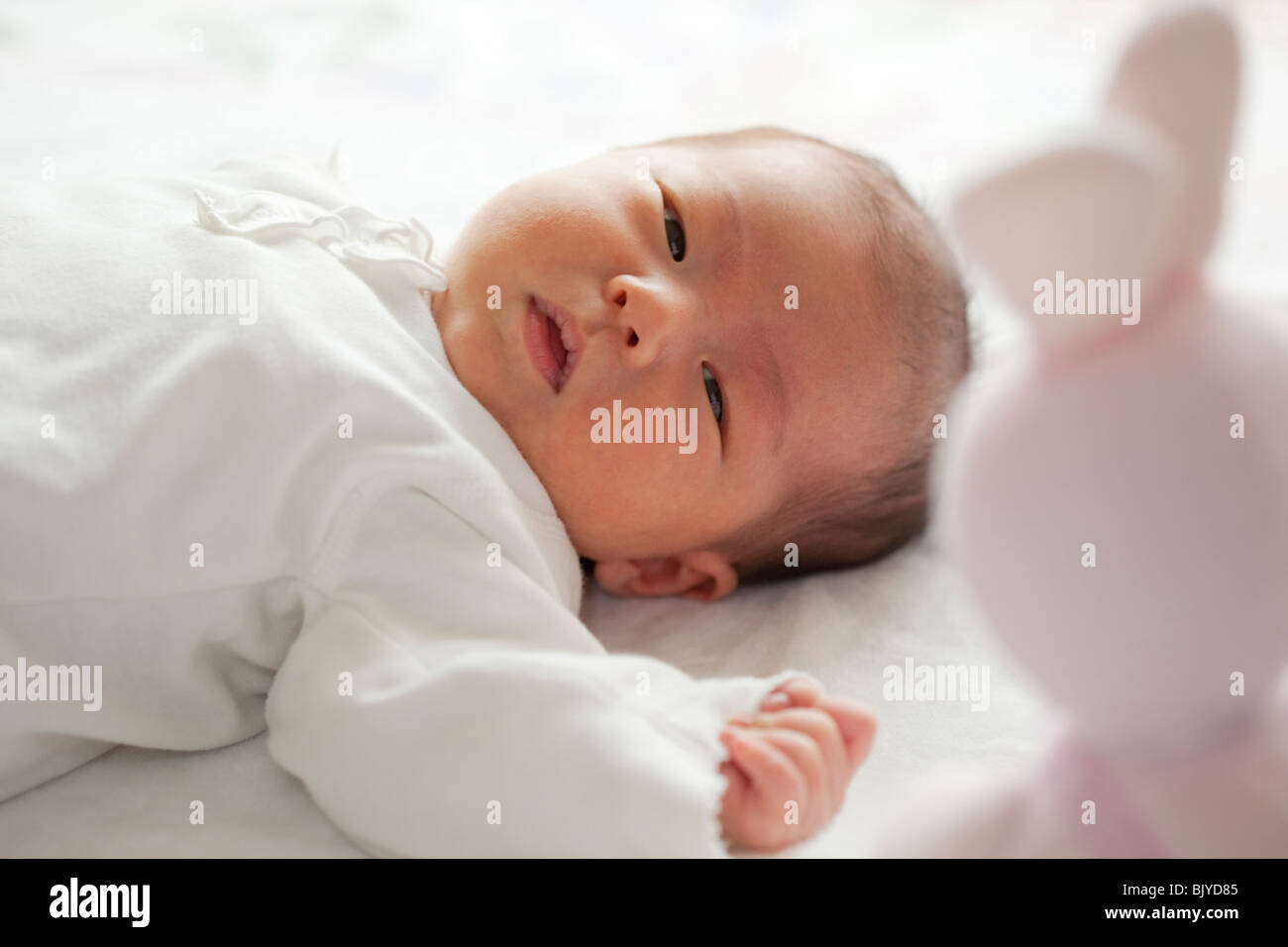 Newborn baby looking at stuffed animal Stock Photo