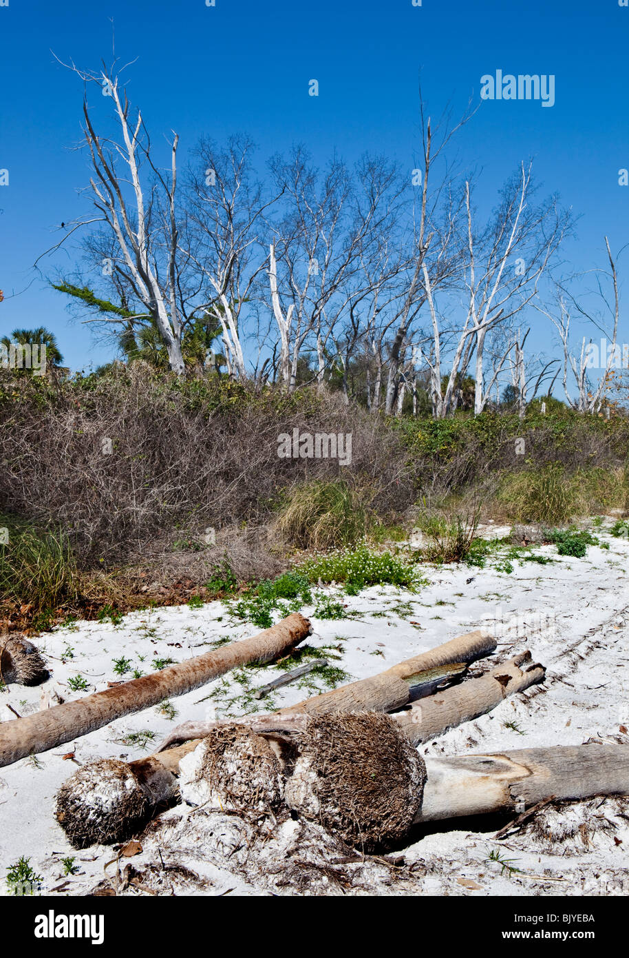 Egmont Key, Florida Stock Photo Alamy