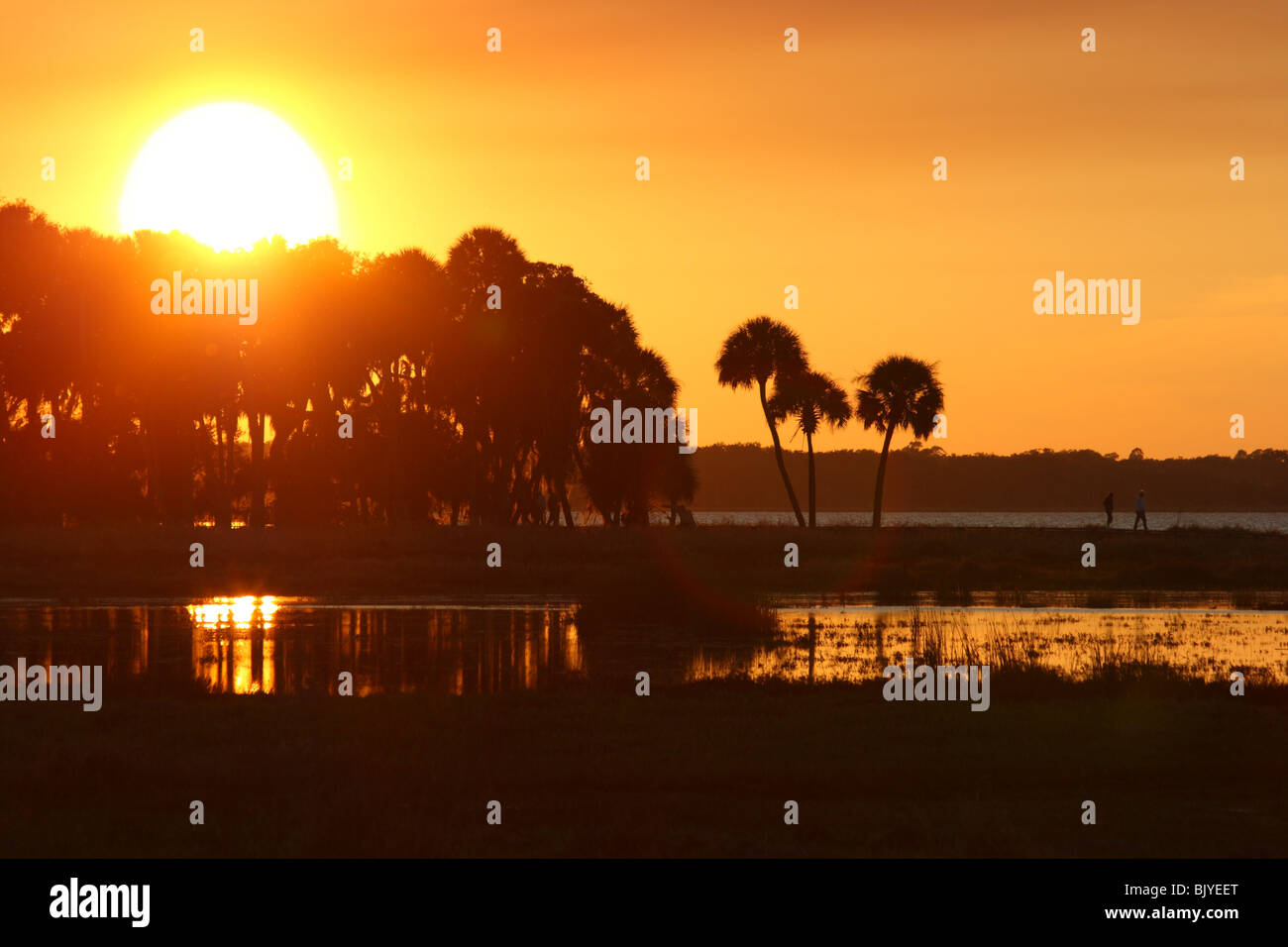 sunset at Myakka River State Park in Florida USA Stock Photo