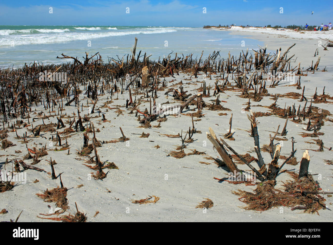 beach erosion and hurricane damage in Florida USA Stock Photo