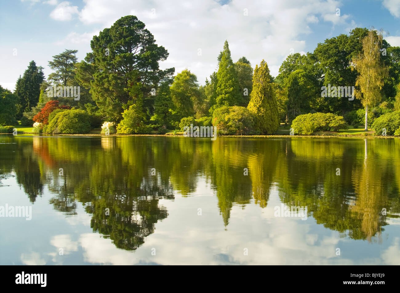 Beautiful lake reflection hi-res stock photography and images - Alamy