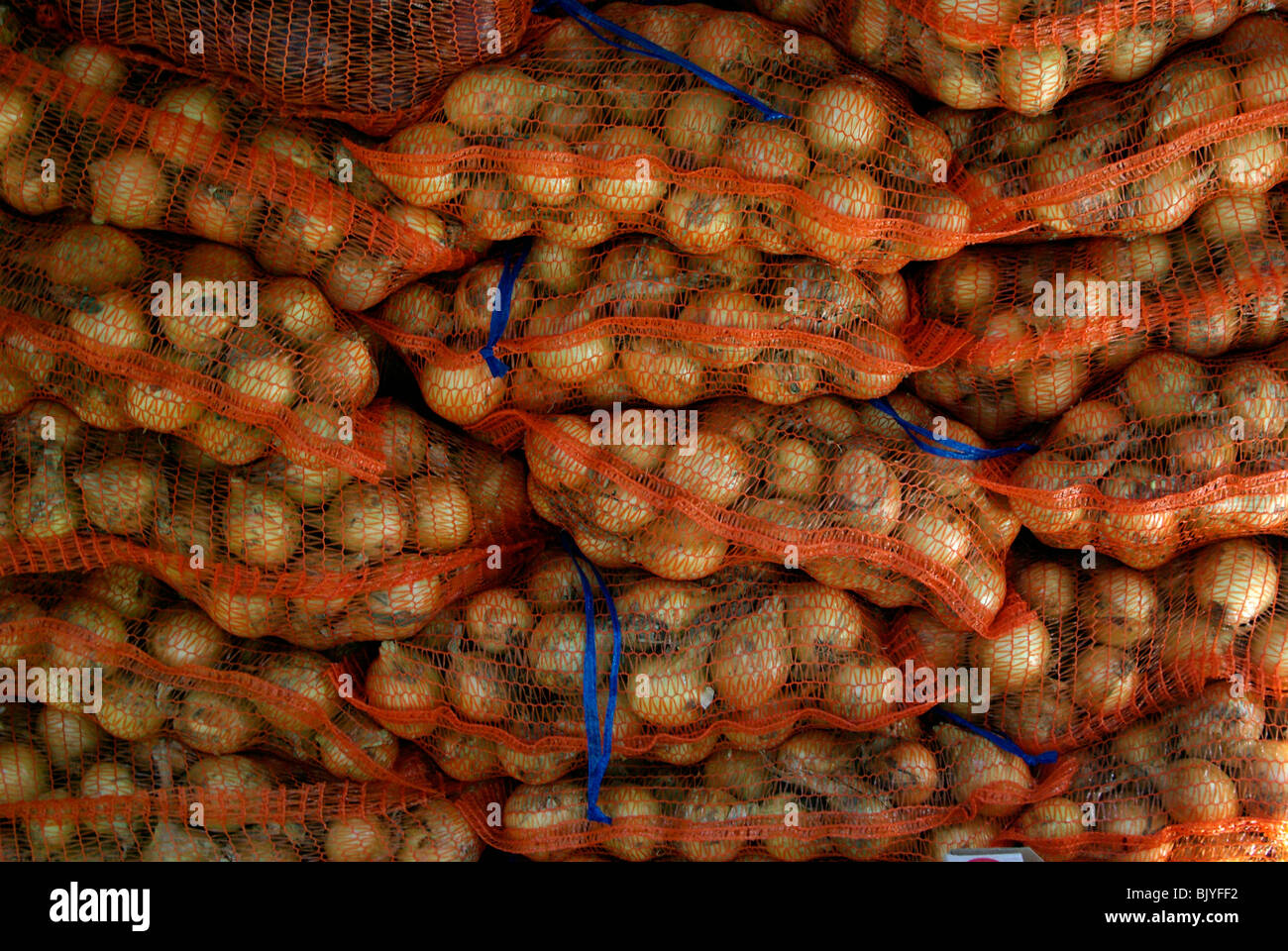 Bags of onions stacked before sale at Englands only onion festival