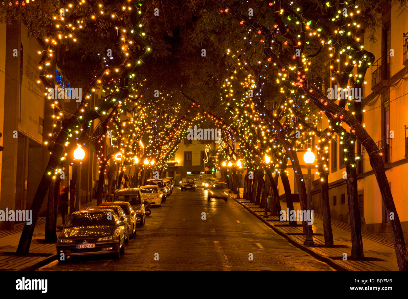 Funchal madeira portugal madeira funchal Trees decorated with Christmas