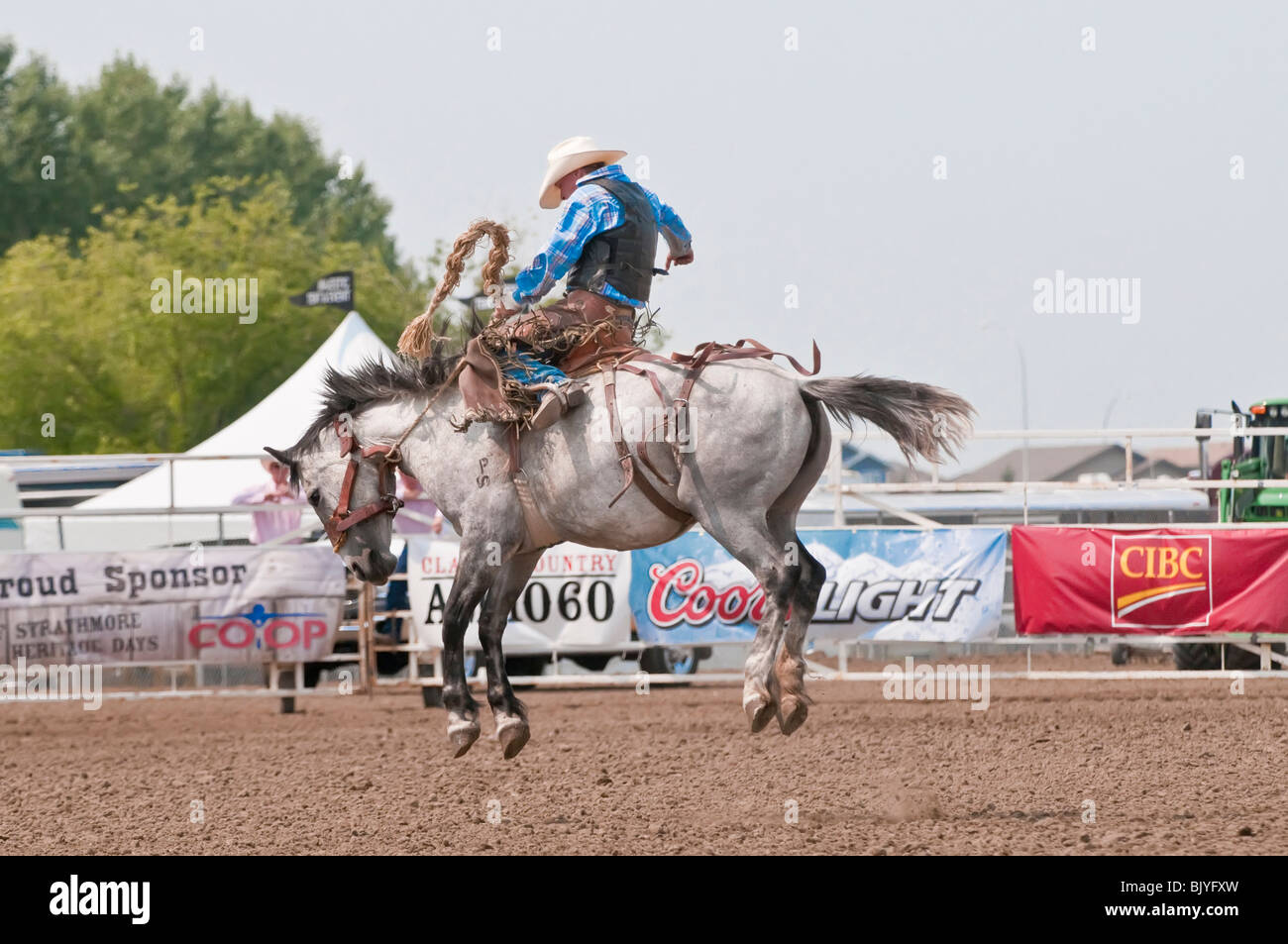 Cowboy, saddle bronc riding, Strathmore Heritage Days, Rodeo, Strathmore, Alberta, Canada Stock Photo