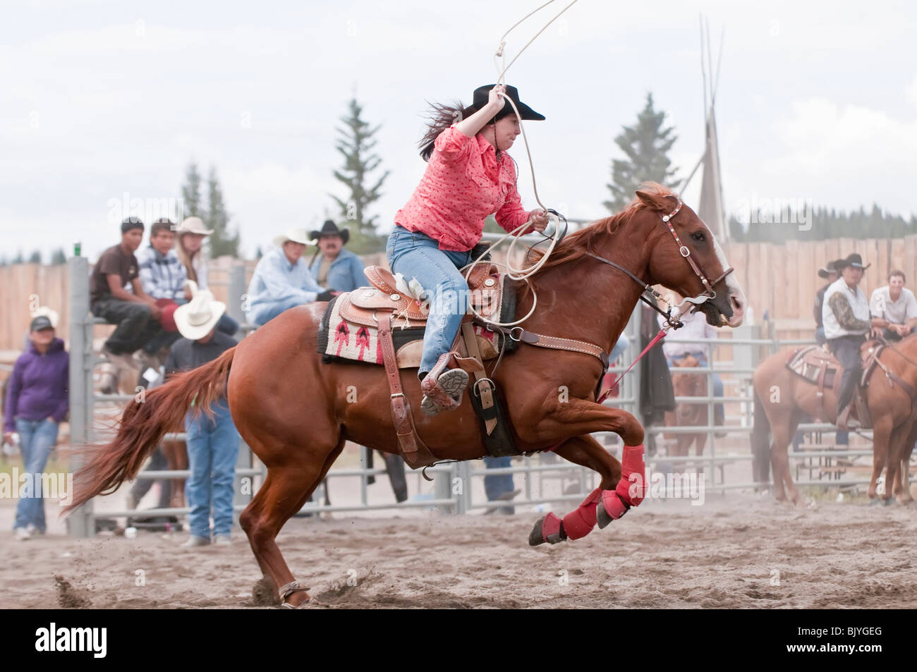 Cowgirl, throwing a lasso trying to rope a calf during the calf roping event, T'suu Tina rodeo