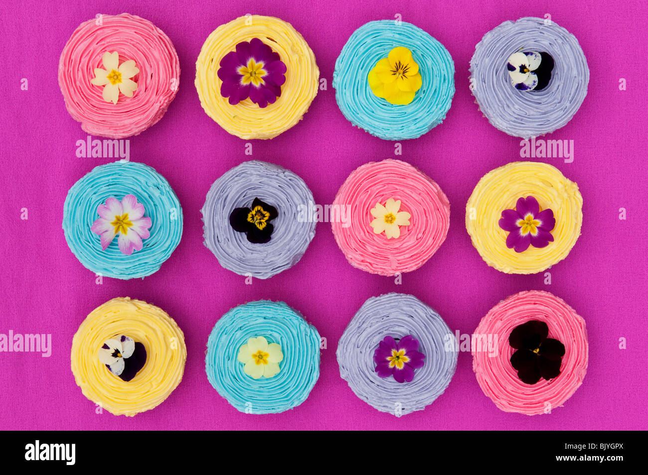 Colourful cup cakes and edible spring flowers Stock Photo