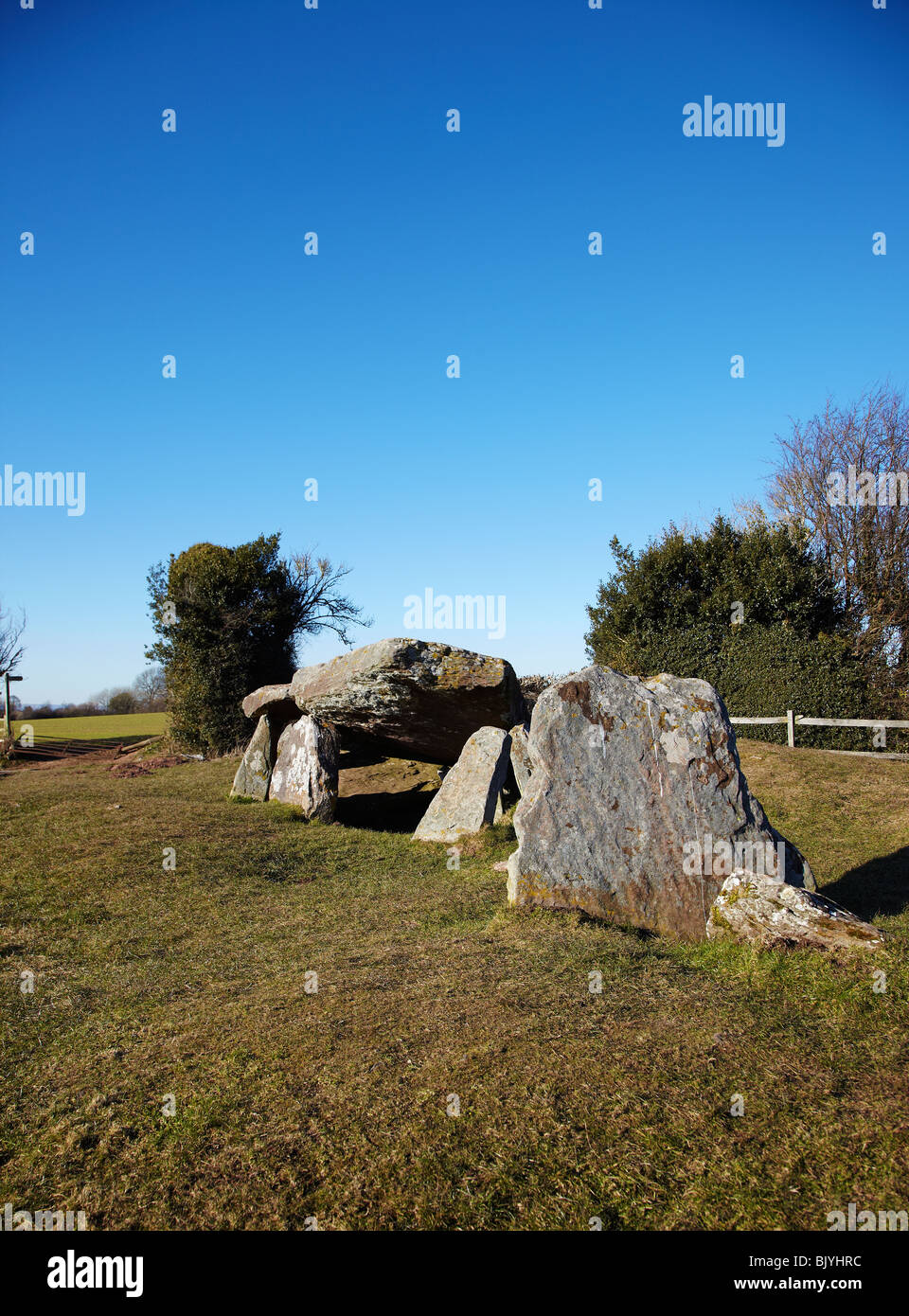 Arthur's Stone. A Late Neolithic Chambered Tomb, Dorstone ...