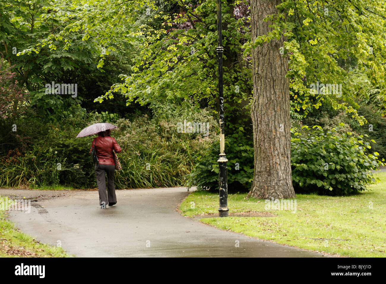 Young Woman with an Umbrella Walking Through a Park in the Rain Stock Photo