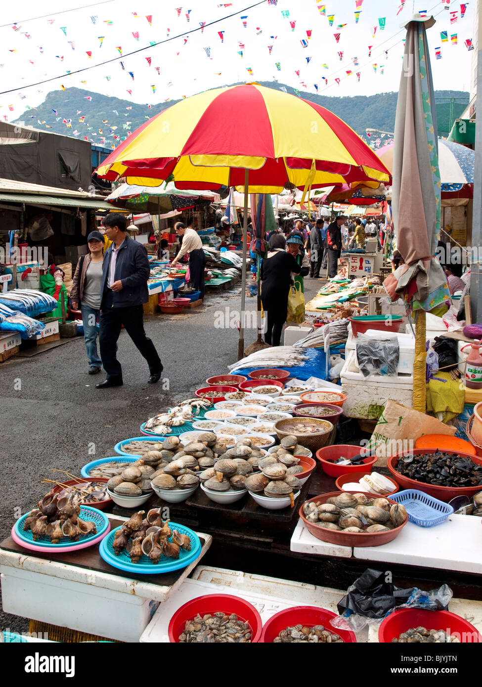 Fish market in Pusan, Korea Stock Photo Alamy