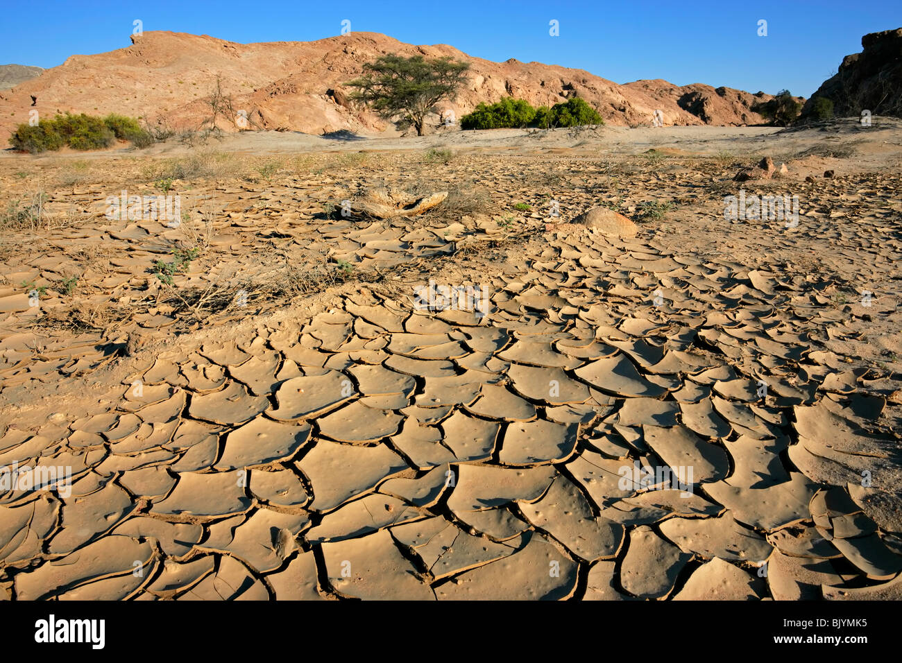 Cracked mud in a dry riverbed, Namib-Naukluft National park, Namibia, southern Africa Stock Photo