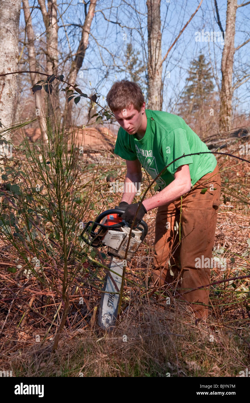 Clearing weeds in gloves hi-res stock photography and images - Alamy