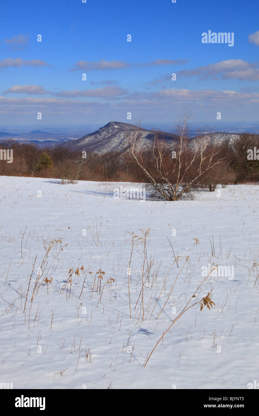 Old Rag View, Shenandoah National Park, Virginia, USA Stock Photo - Alamy