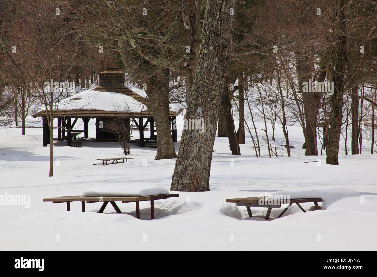 Pinnacles Picnic Grounds, Shenandoah National Park, Virginia, USA Stock