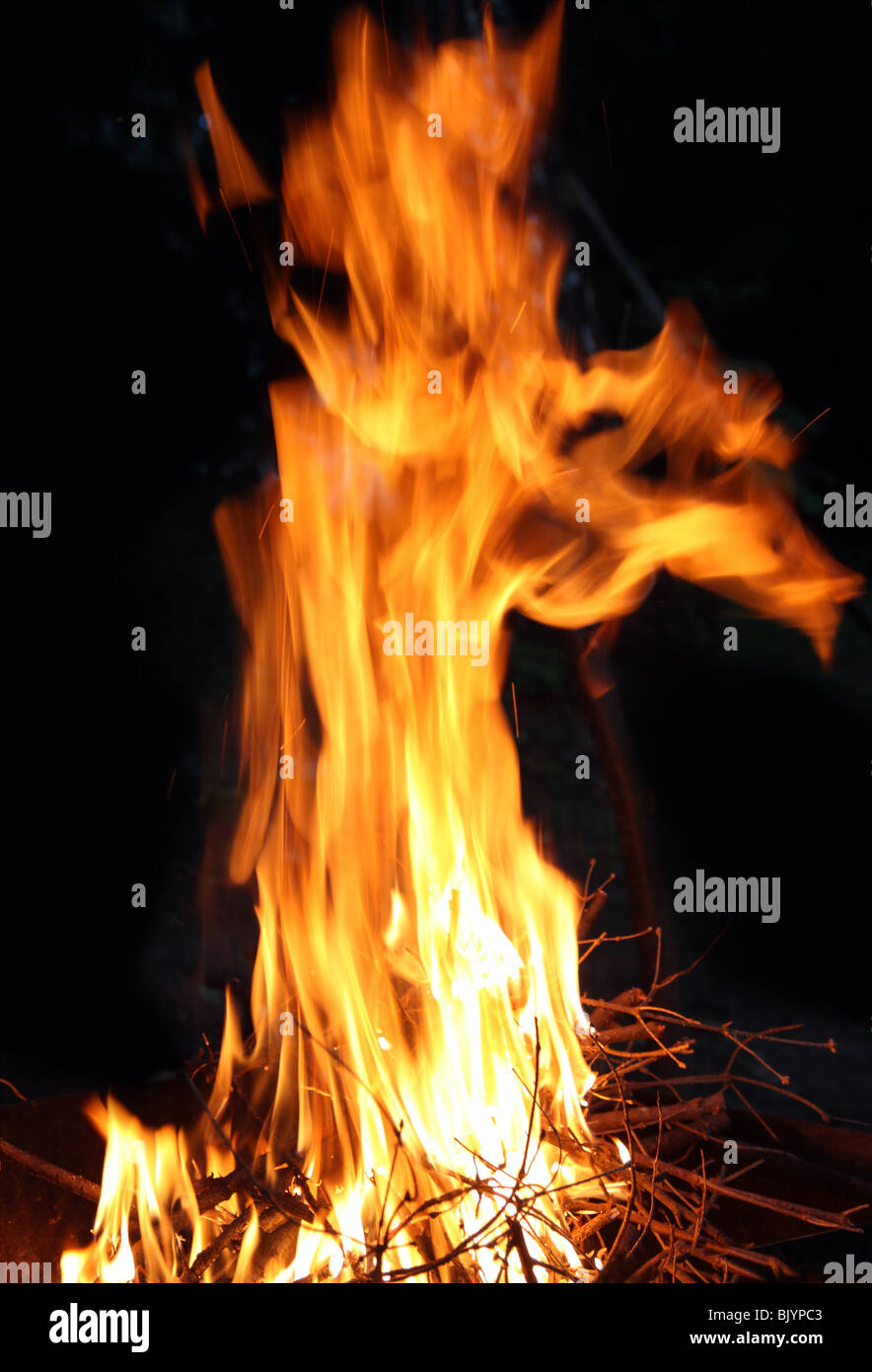 big bonfire flame burning in dusk camping Stock Photo - Alamy