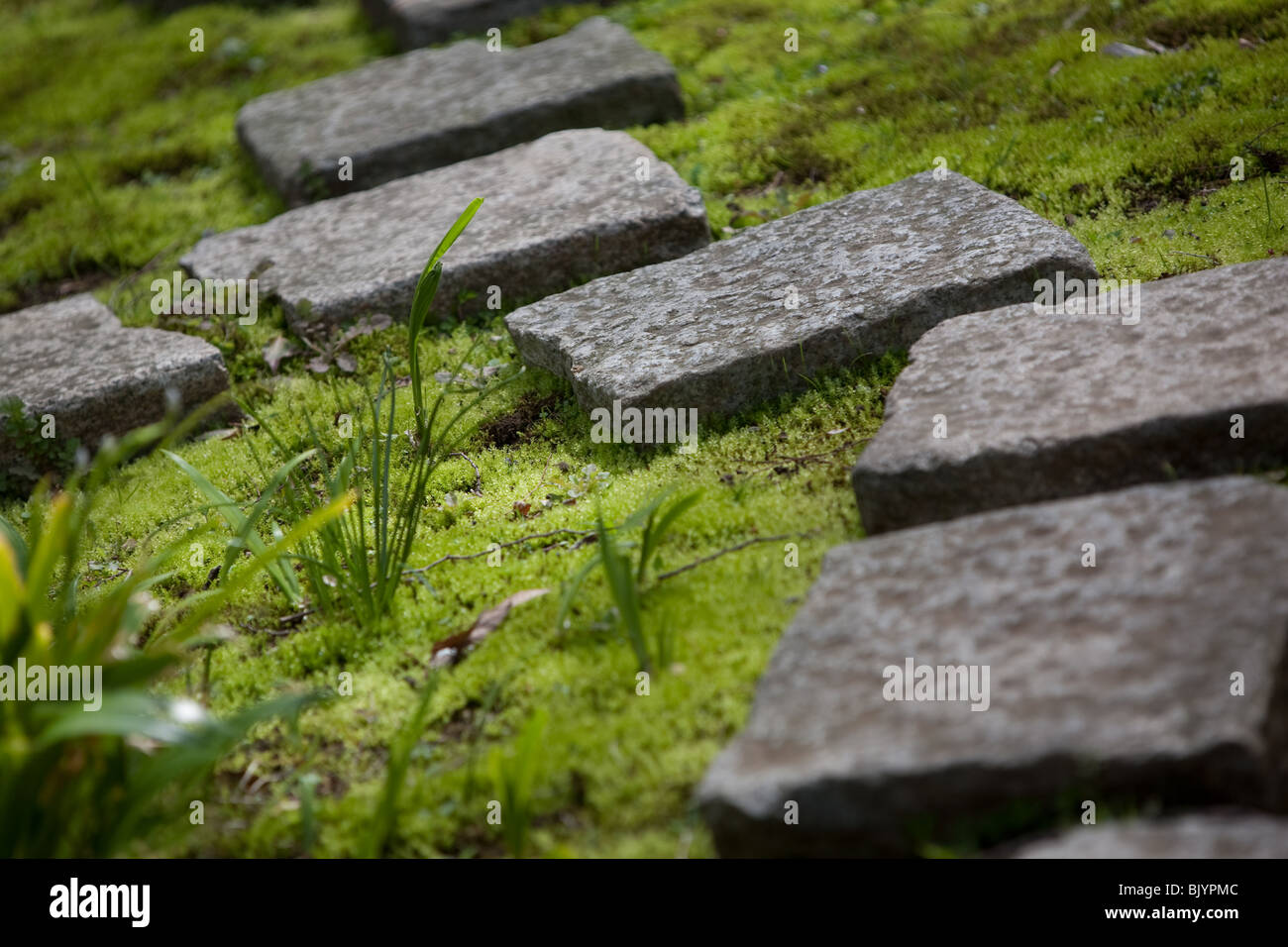 Stepping stones in garden Stock Photo - Alamy