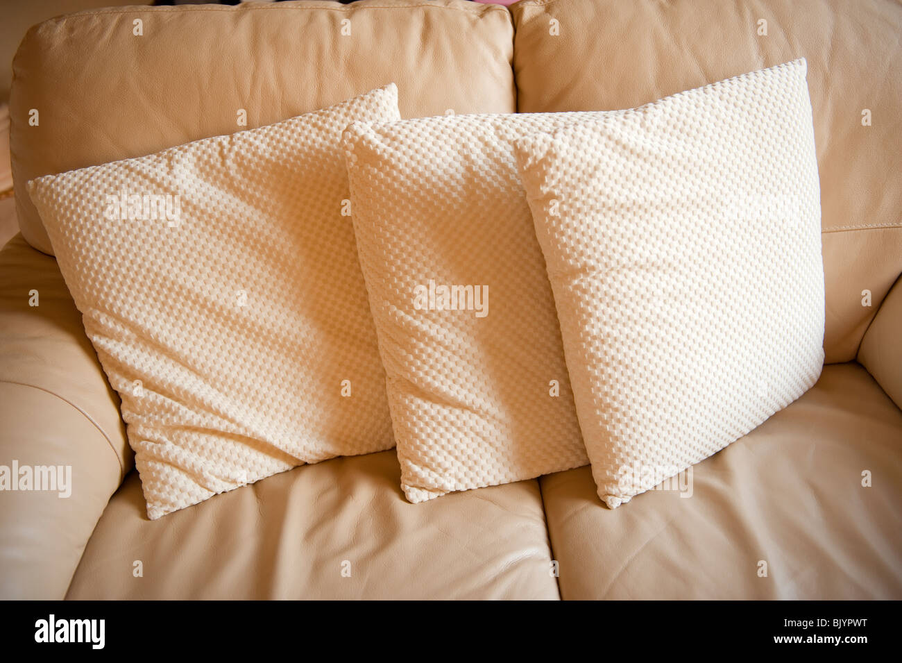 3 cream cushions on modern cream leather sofa Stock Photo Alamy