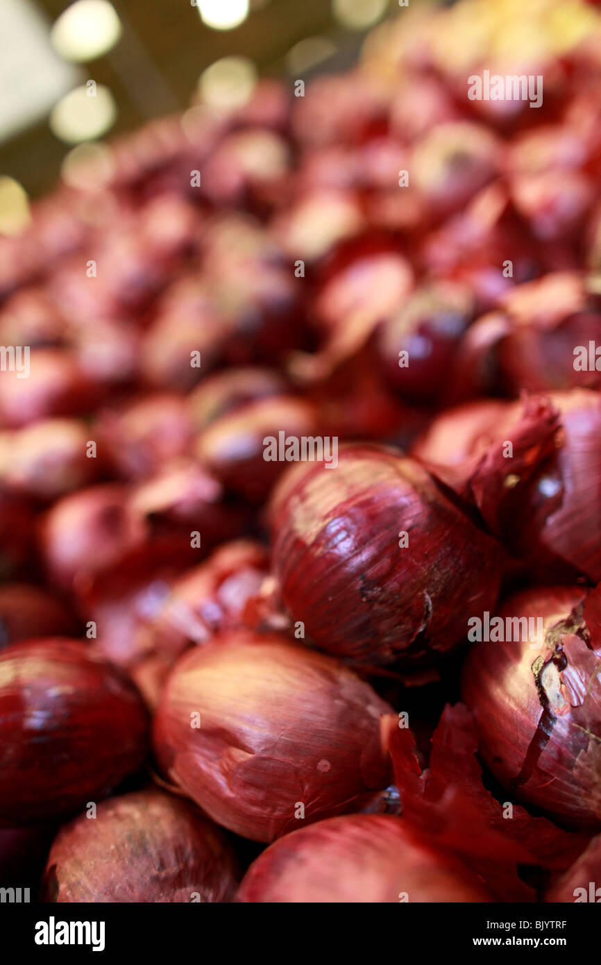 Red or Purple Onions in market bin.  Large quantities of onions. Shallow focus. Stock Photo