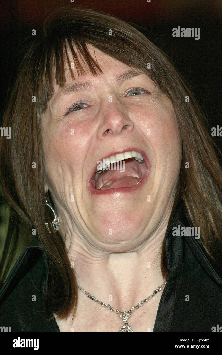 GERI JEWELL DEADWOOD SEASON 2 PREMIERE CHINESE THEATRE HOLLYWOOD LOS ANGELES USA 03 March 2005 Stock Photo