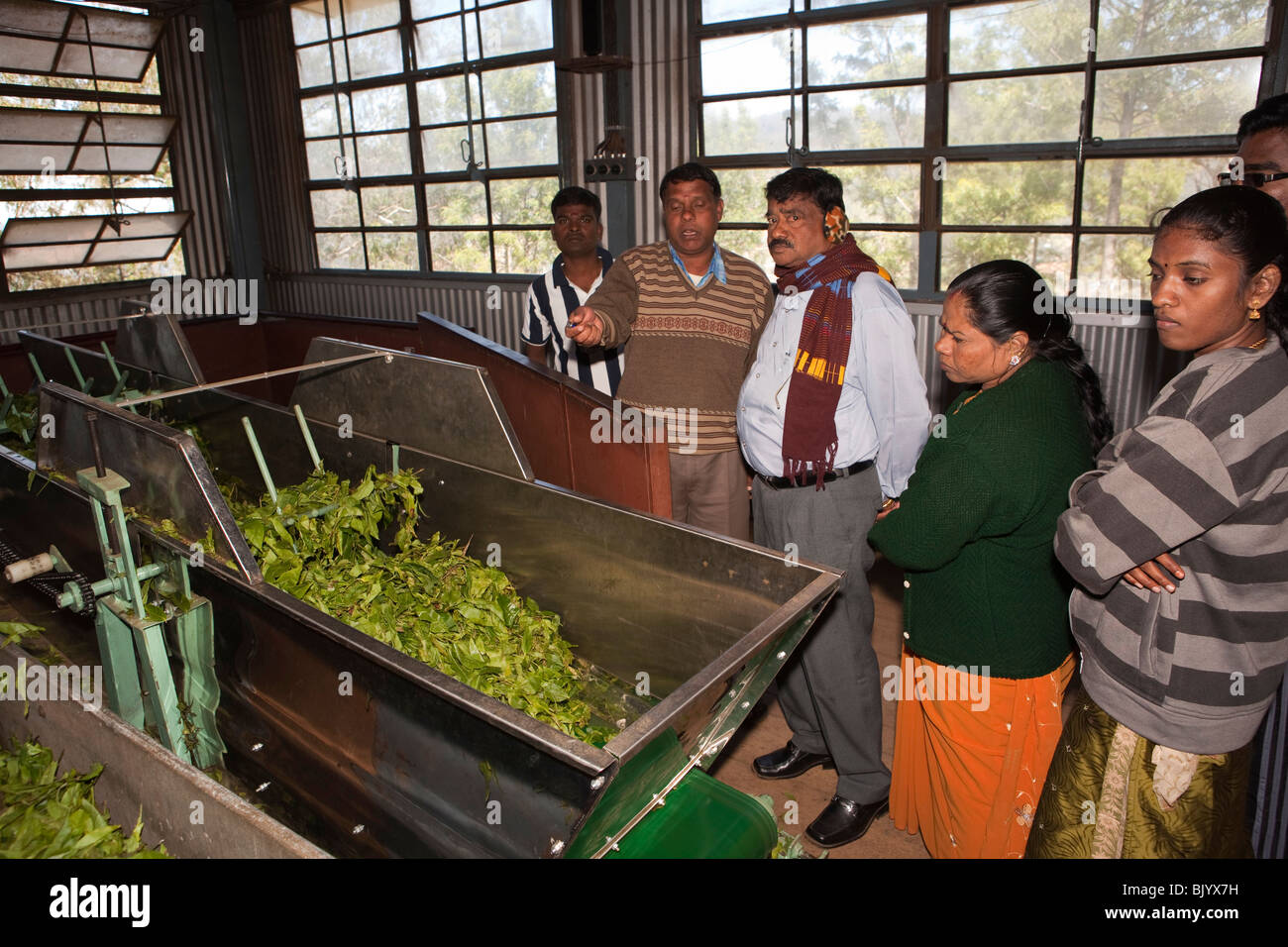 India, Tamil Nadu, Udhagamandalam (Ooty), tea factory, Indian tourists