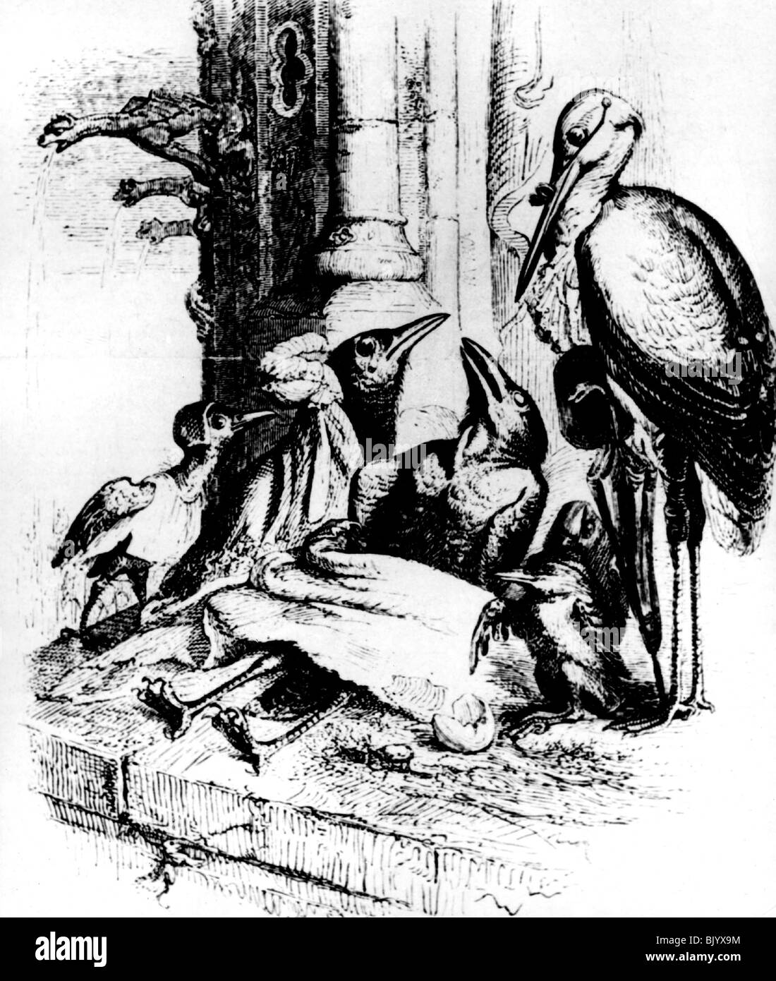 literature, fables, stork as medical doctor, illustration, by anonymous, 19th century, historic, historical, /M.D./, medic , doctors, physicians, medics, animals, animal, bird, birds, crow, crows, Stock Photo