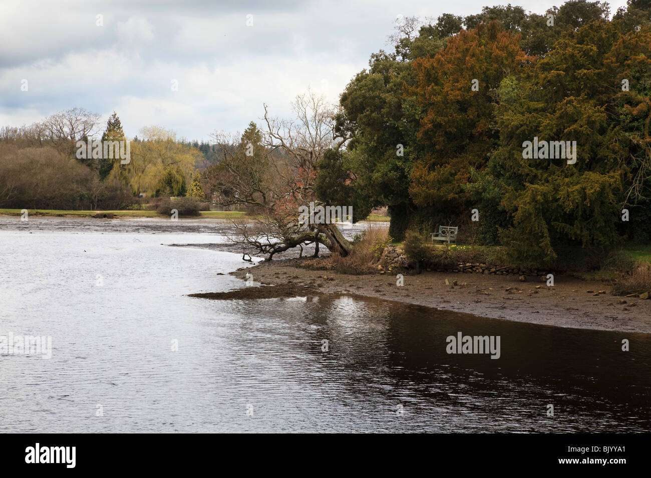 Beaulieu River and riverbank with trees, footpath and seat Stock Photo