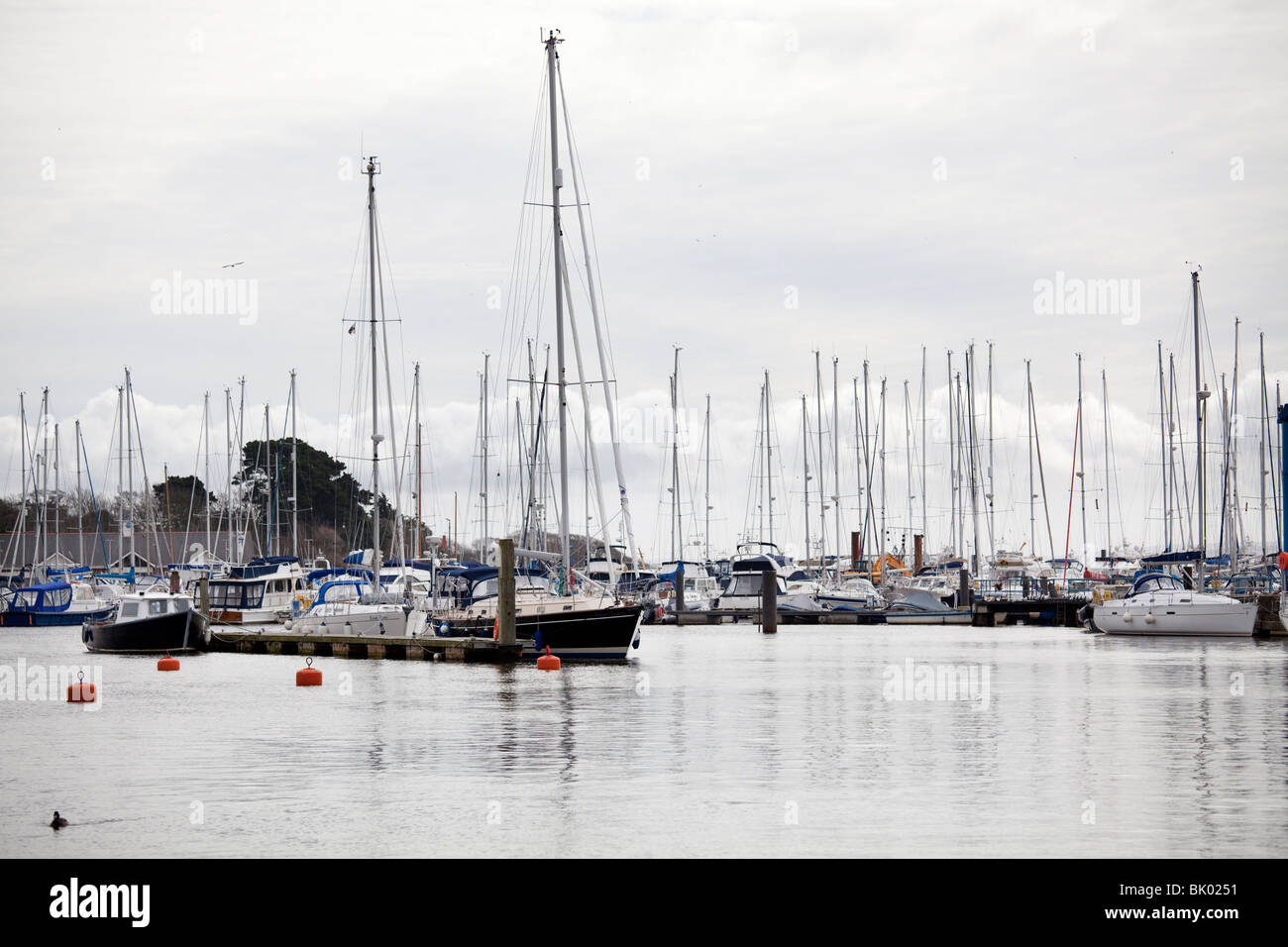 Yachts in Lymington Marina Stock Photo - Alamy