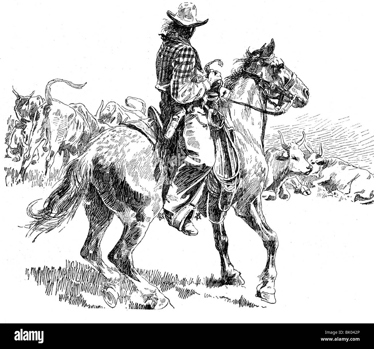 geography / travel, United States of America, people, cowboys, cattle droving, wood engraving after drawing, 1890, Stock Photo