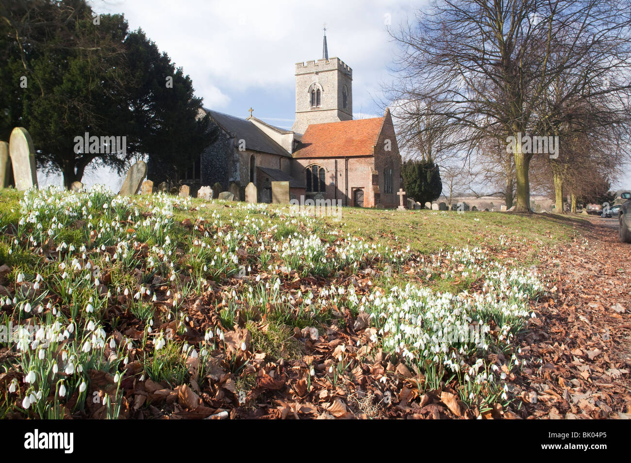 Much hadham hires stock photography and images Alamy