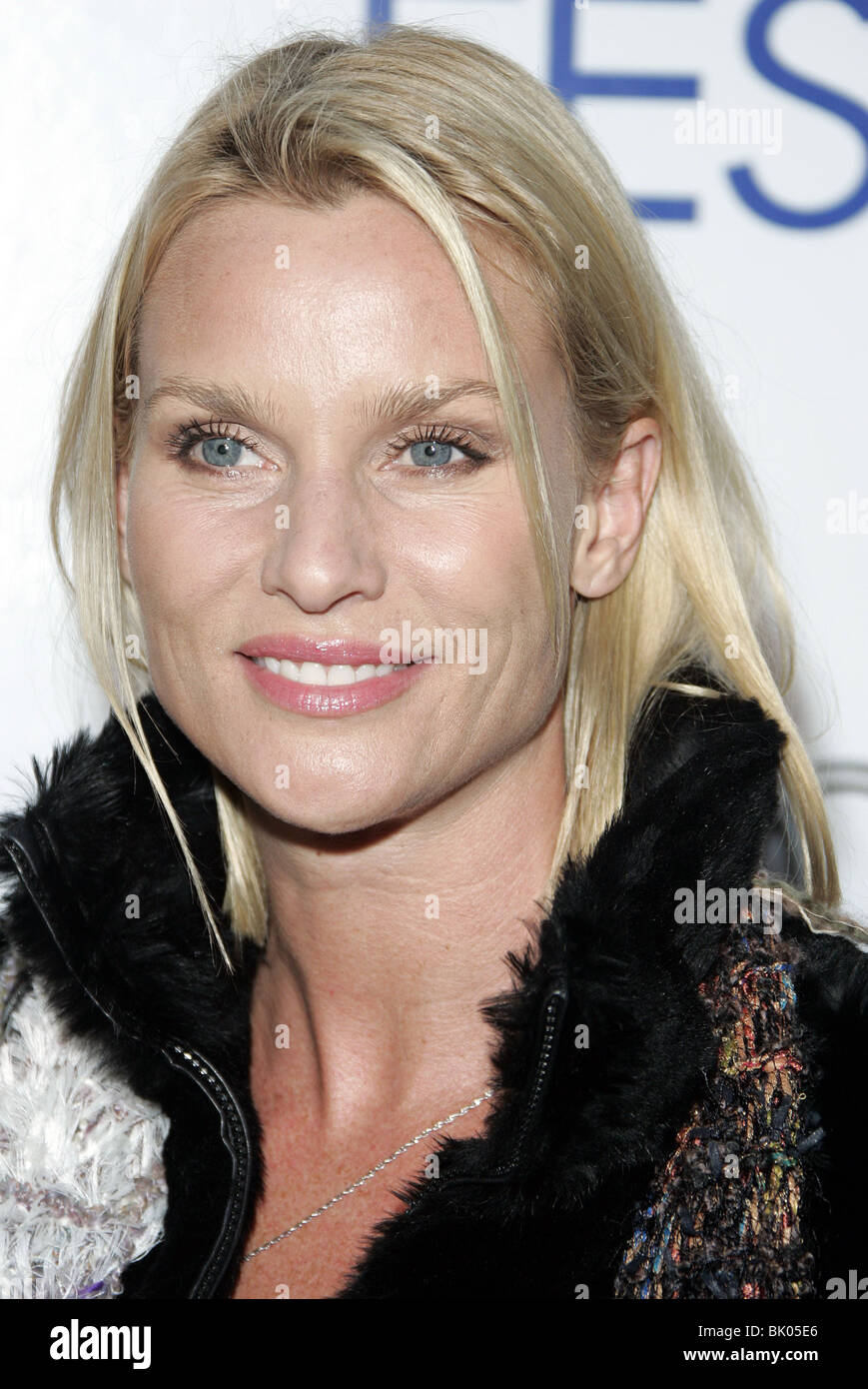 NICOLLETTE SHERIDAN TRANSAMERICA PREMIER. AFI FEST 2005 ARCLIGHT HOLLYWOOD LOS ANGELES USA 06 November 2005 Stock Photo